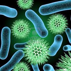 کاربرد میکروارگانیزم ها (زیرسازواره ها) در تولید آنتی بیوتیک ها (پادزیست ها) و ارتباط آن با صنعت