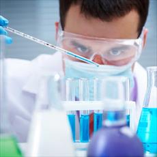 گزارش کار جامع آزمایشگاه باکتری شناسی (شامل تمام آزمایشات باکتری شناسی)