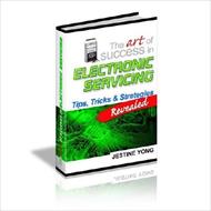کتاب جاستین یانگ The ART OF SUCCESS IN ELECTRONIC